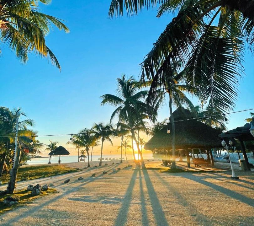 Photo of Others in Islamorada