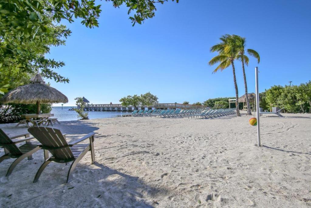 Photo of Others in Tavernier