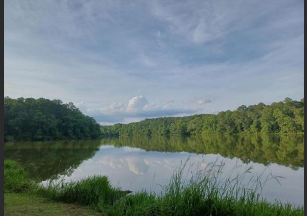 Photo of Others in Ozark