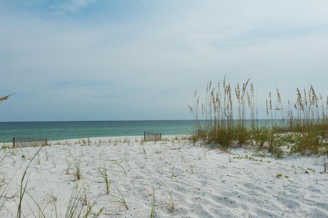 Photo of Others in Navarre Beach