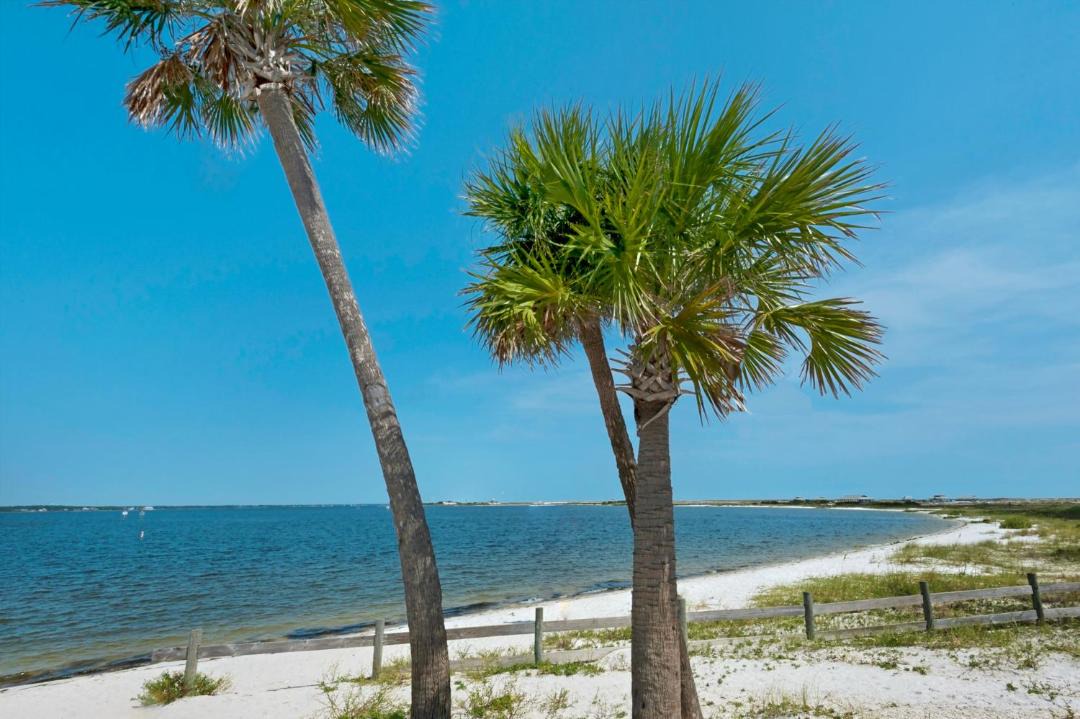 Photo of Others in Navarre Beach