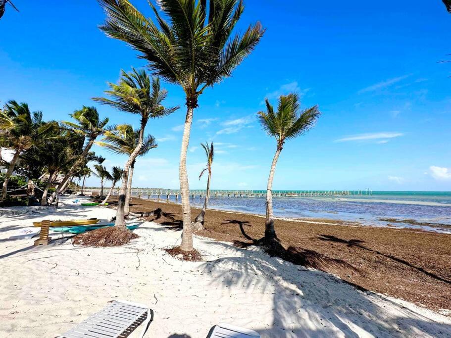 Photo of Others in Sugarloaf Key