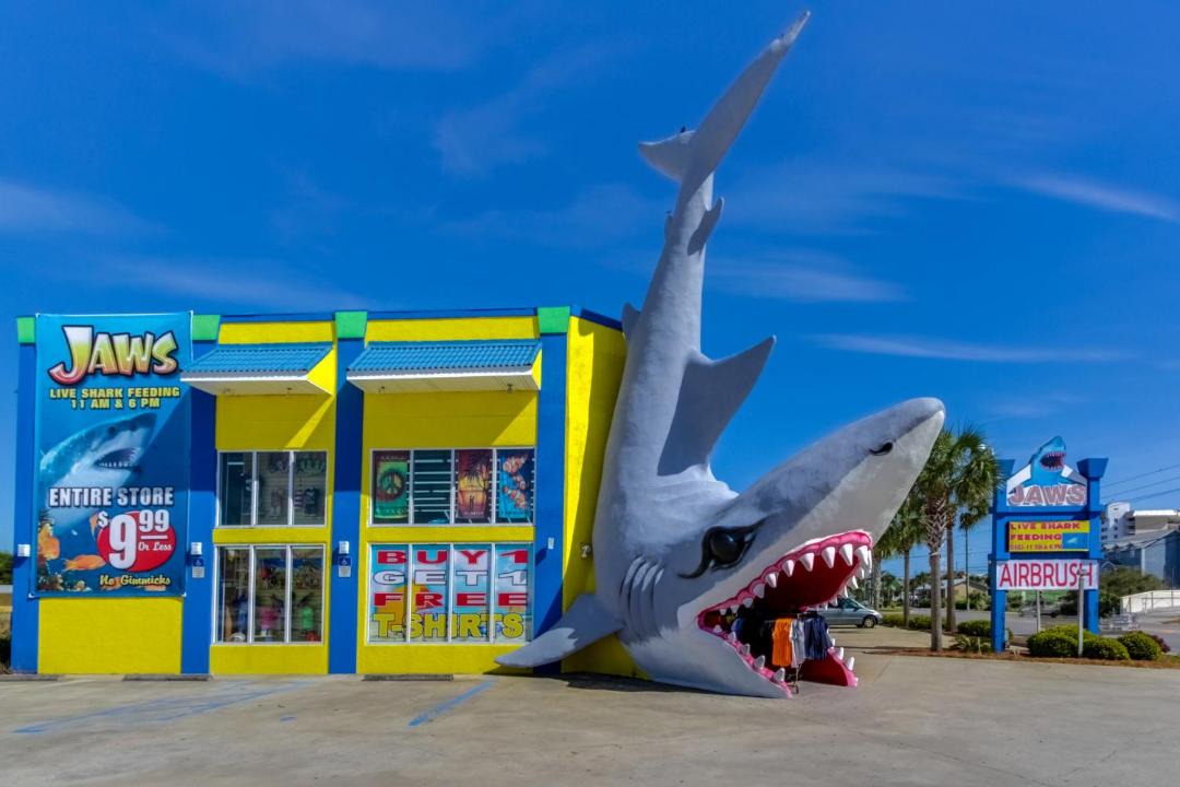 Photo of Others in Treasure Cove