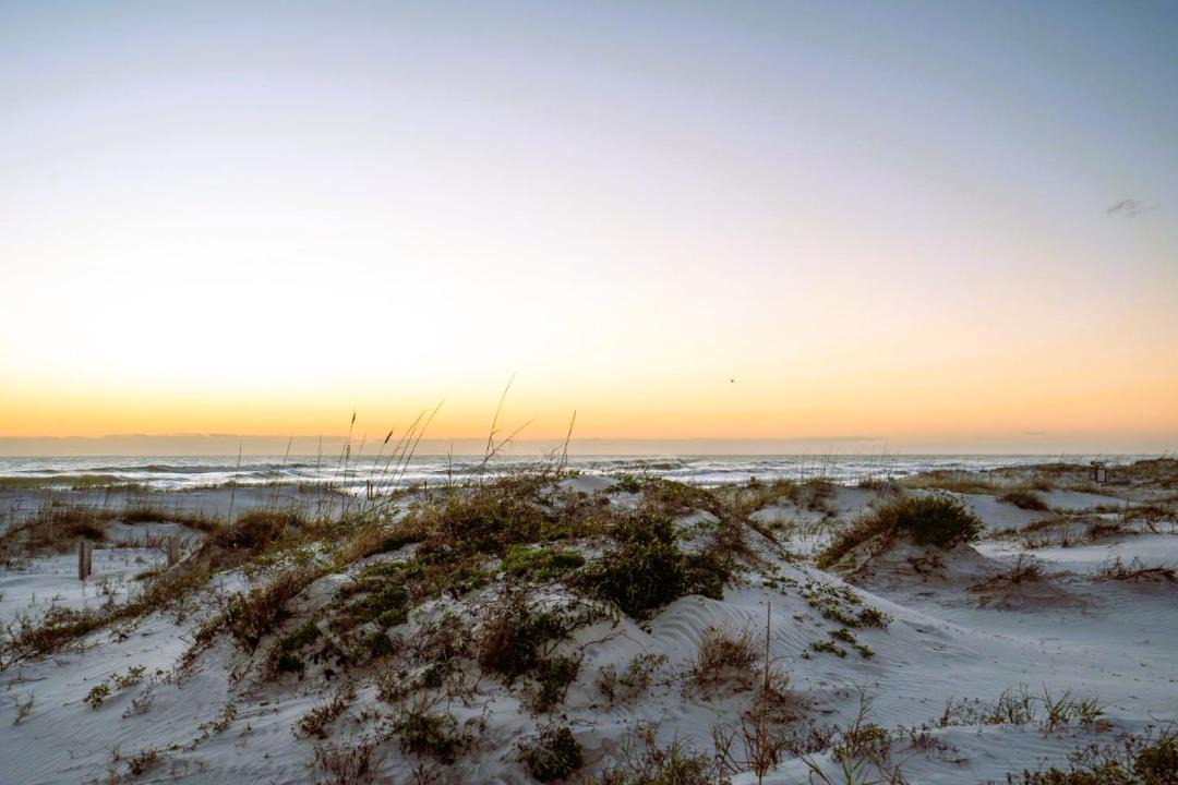 Photo of Others in St. Augustine Beach
