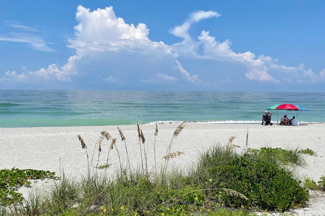 Photo of Others in Siesta Key