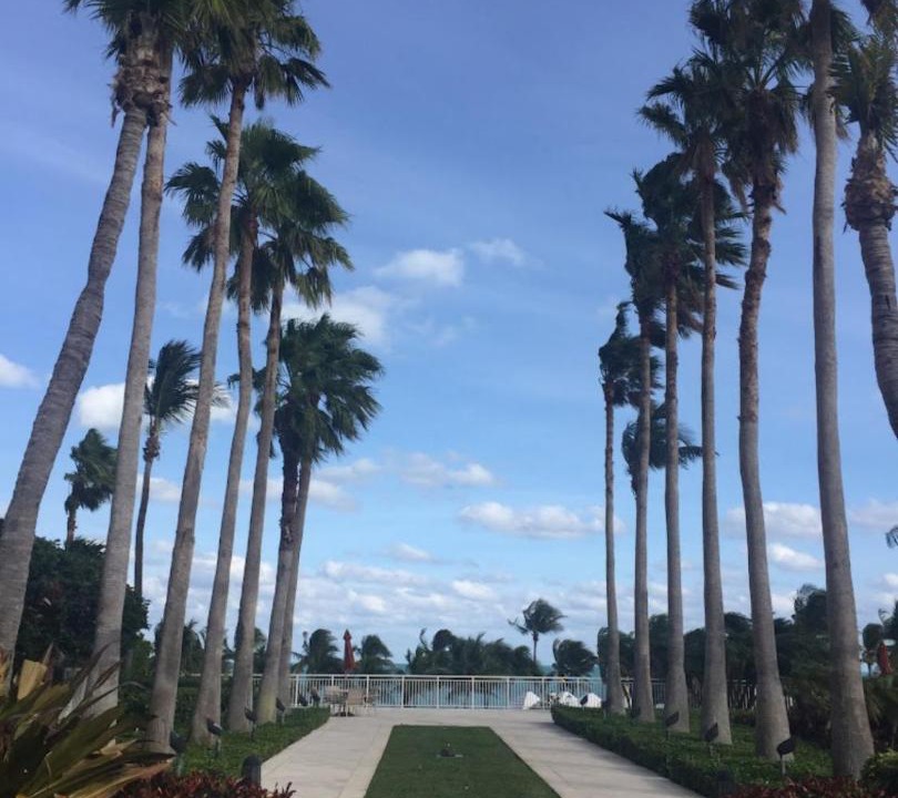 Photo of Others in Key Biscayne