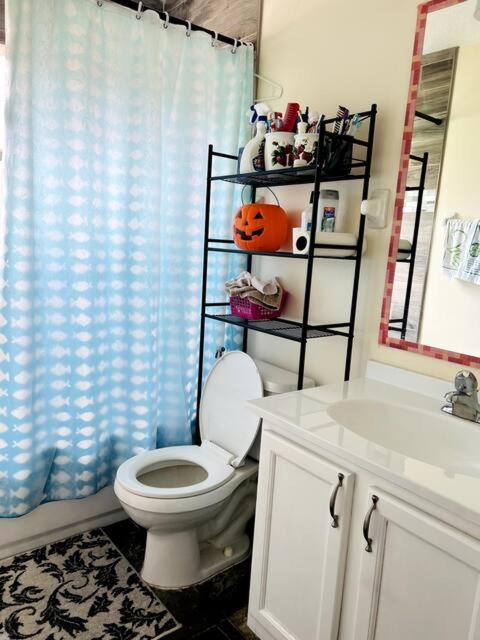Photo of Bathroom in Citrus Park
