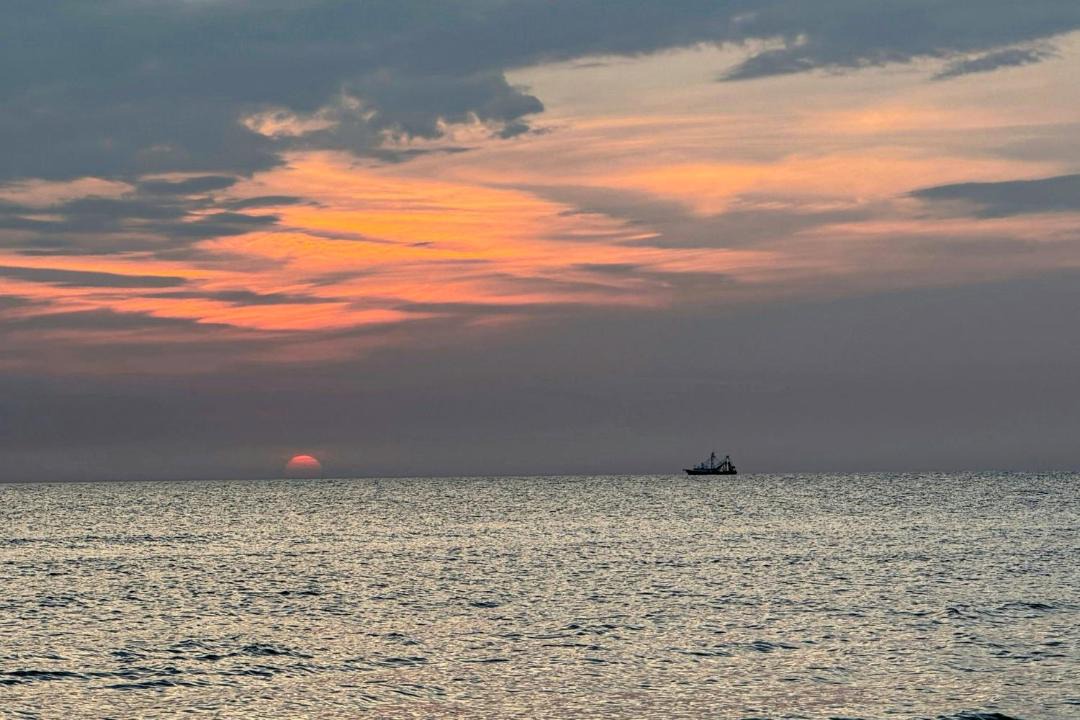 Photo of Others in Port St. Joe