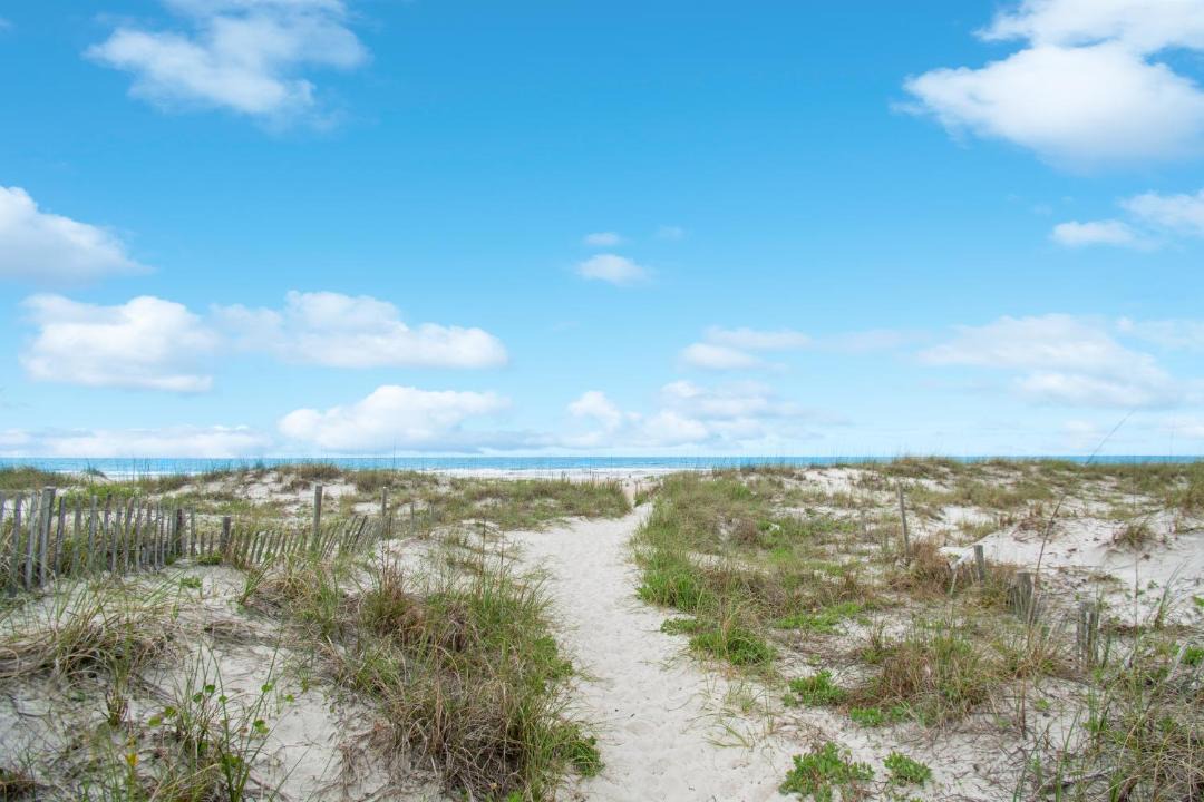 Photo of Others in St. Augustine Beach