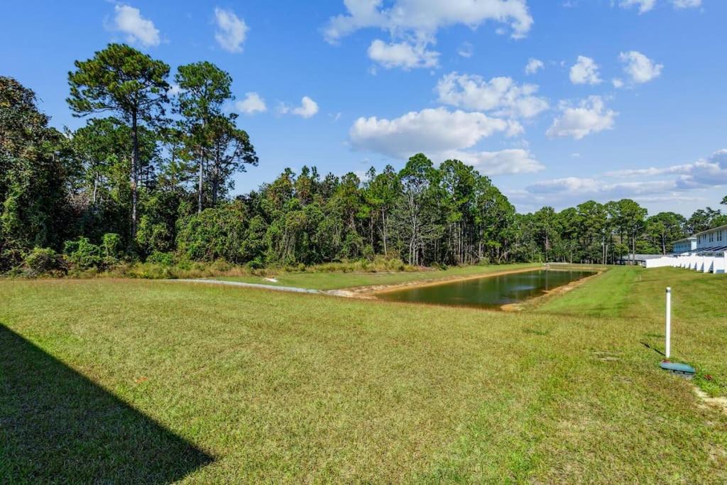 Photo of Others in Florida Panhandle
