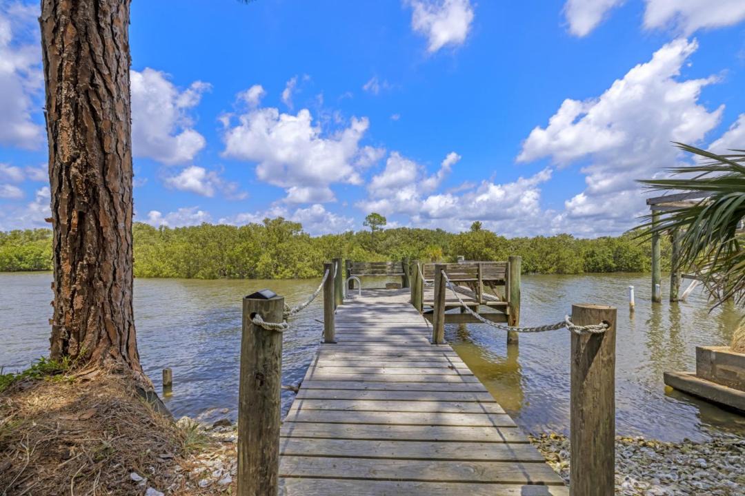 Photo of Others in Cedar Key