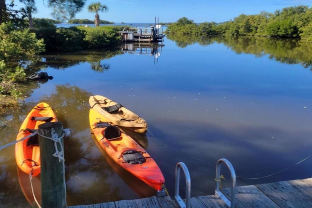 Photo of Others in Cedar Key