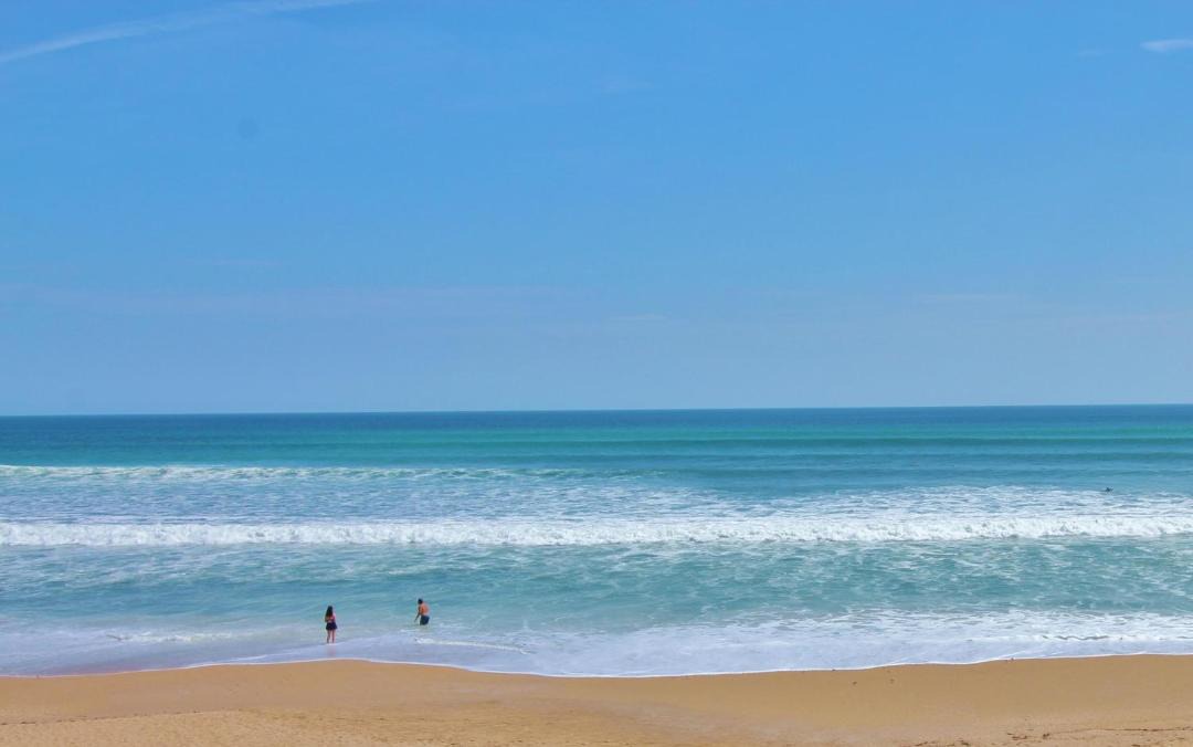 Photo of Others in New Smyrna Beach