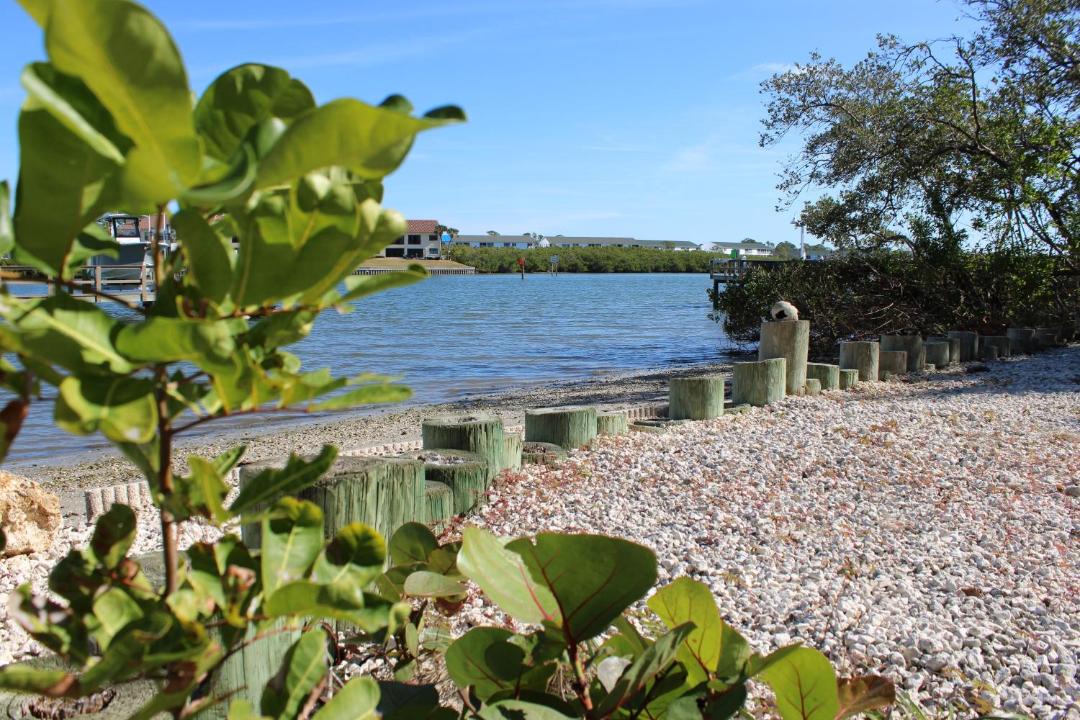 Photo of Others in Indian Shores