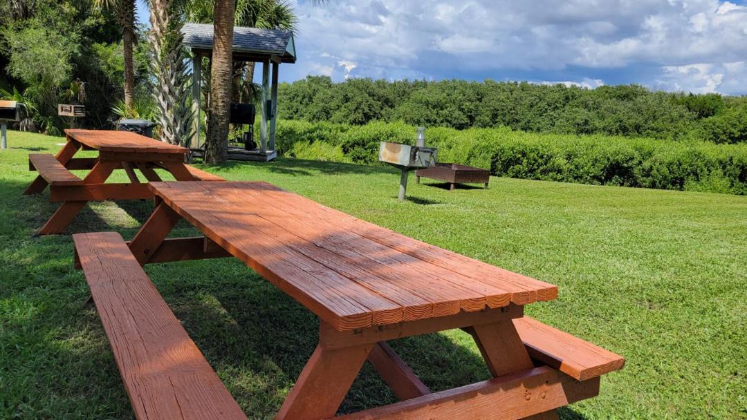 Photo of Outdoor in Cedar Key