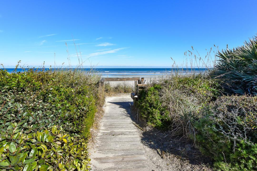 Photo of Others in Sea Dunes