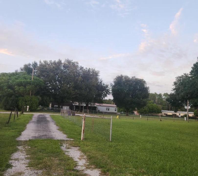 Photo of Others in Wesley Chapel