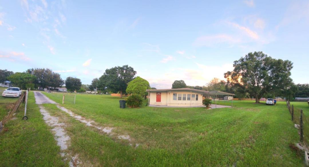 Photo of Others in Wesley Chapel