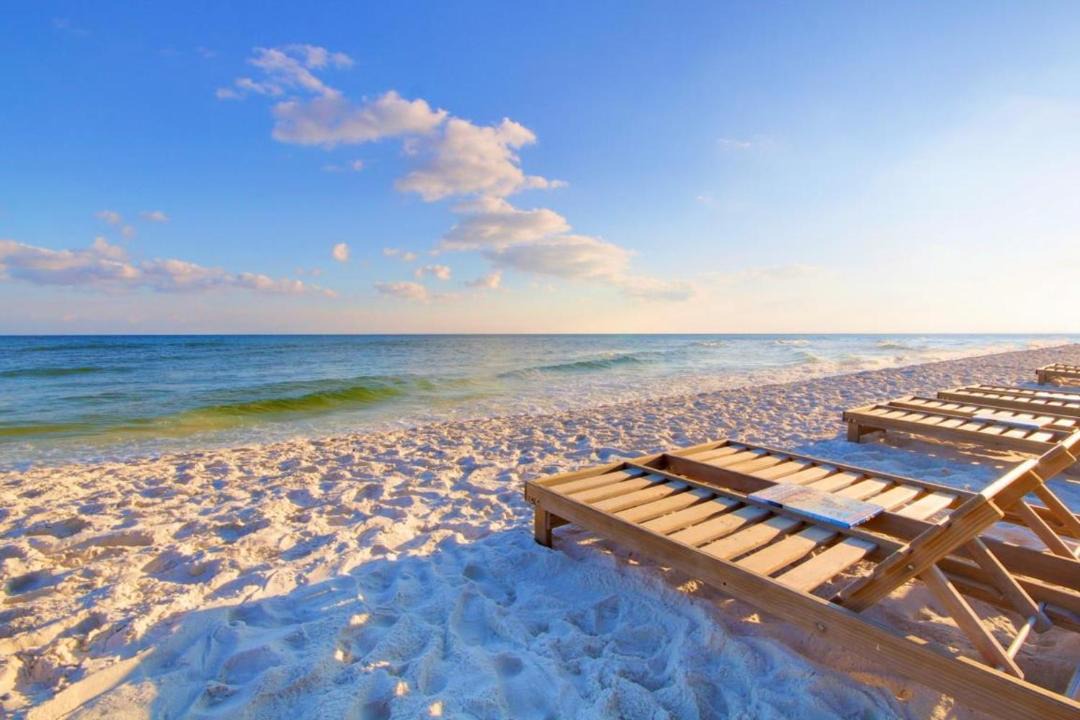 Photo of Others in Pensacola