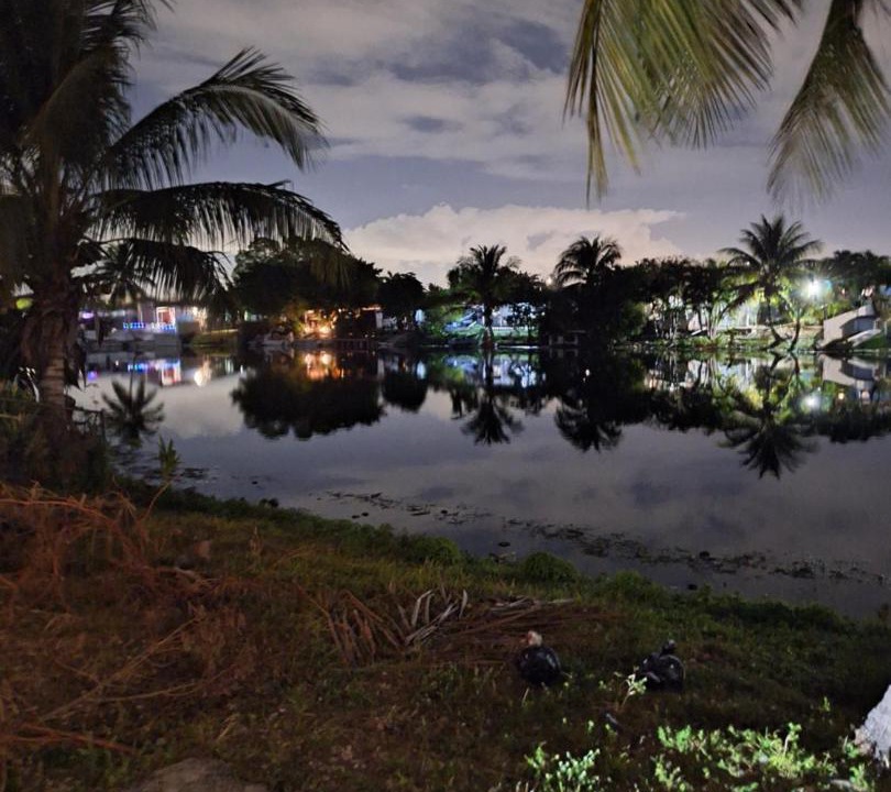 Photo of Others in Tamiami