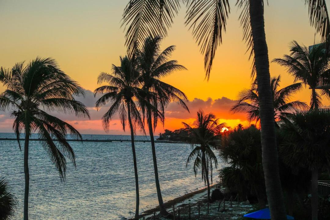 Photo of Others in Key West