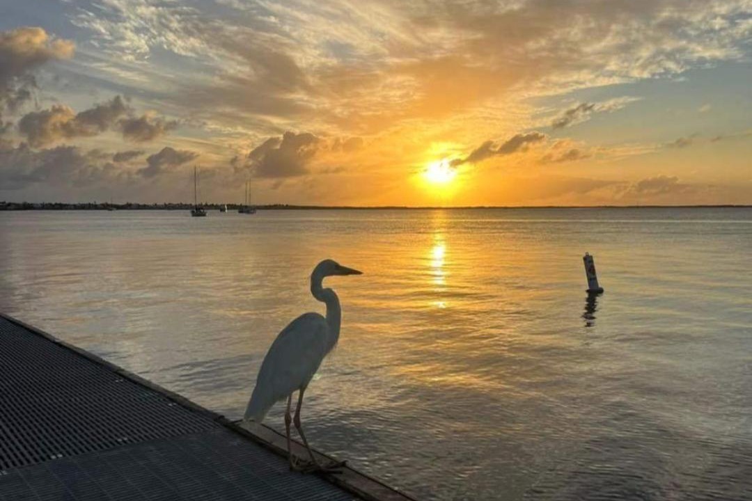 Photo of Others in Key Largo
