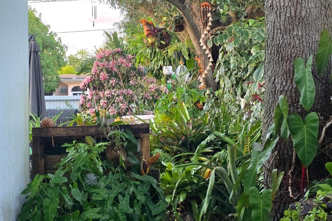 Photo of Others in North Miami Beach