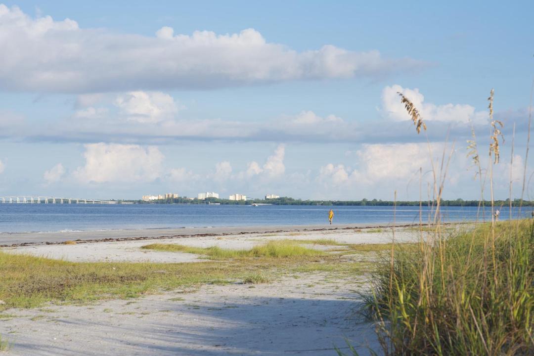 Photo of Others in Mid Island