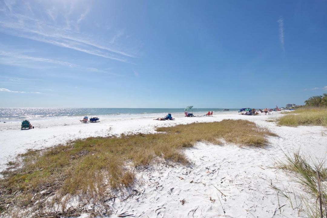 Photo of Others in Mid Island