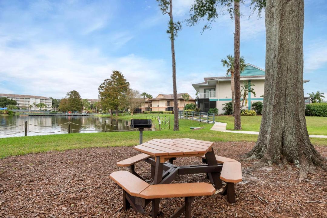 Photo of Others in West Kissimmee