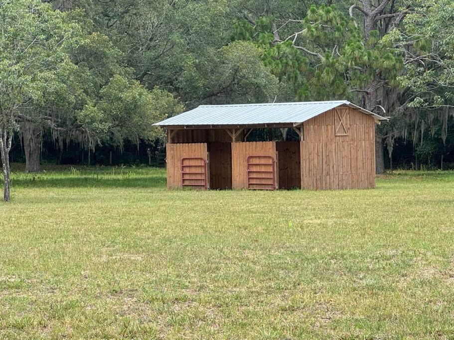 Photo of Others in Ocala