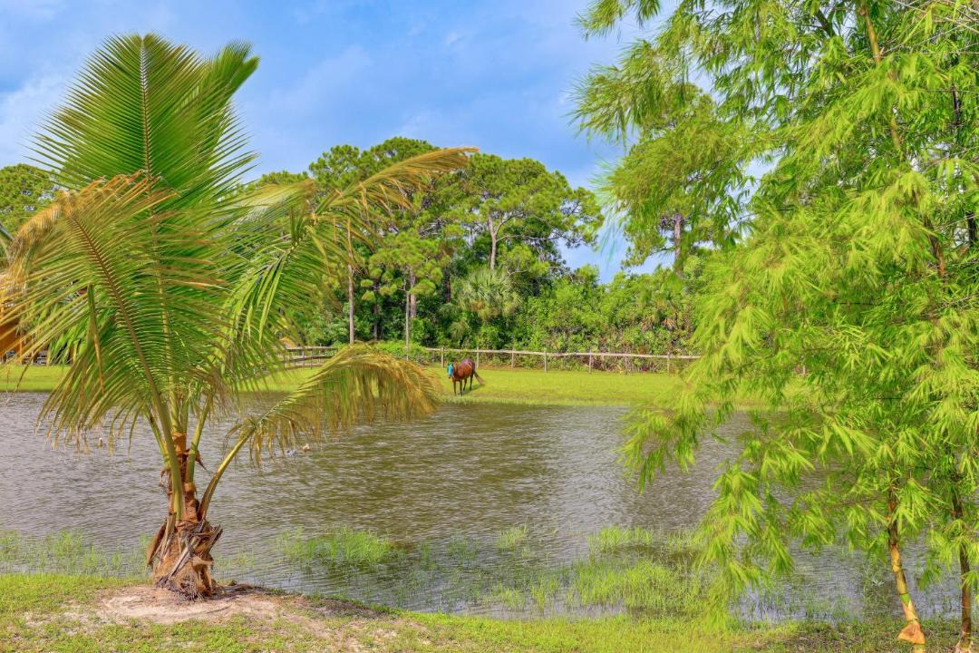 Photo of Others in Palm City