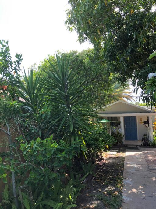 Photo of Buildings in Coral Way