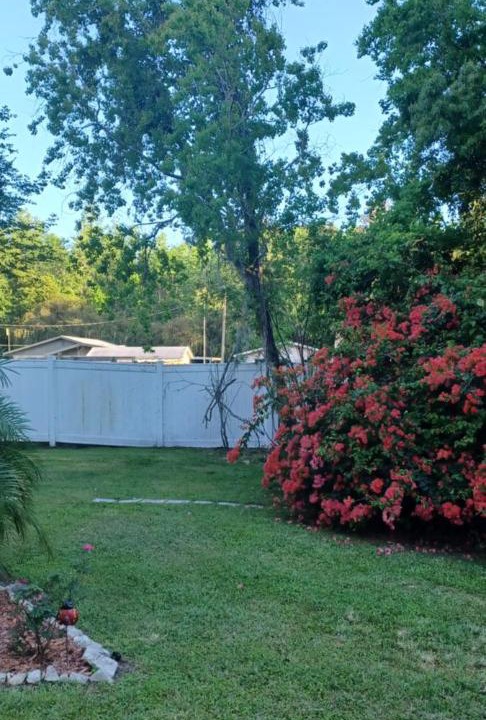 Photo of Outdoor in Groveland