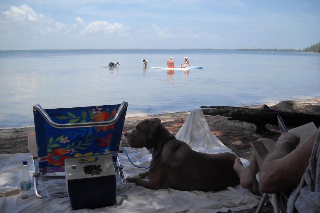 Photo of Others in Beach Club Colony