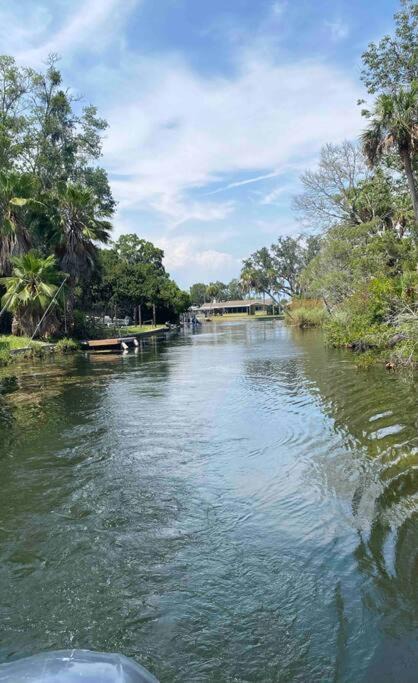 Photo of Others in Crystal River