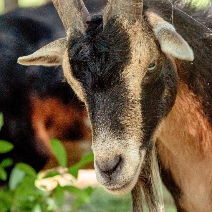 Photo of Others in Ocala