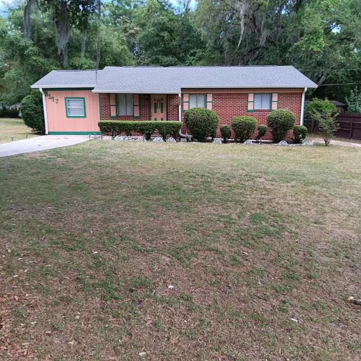 Photo of Others in Tallahassee
