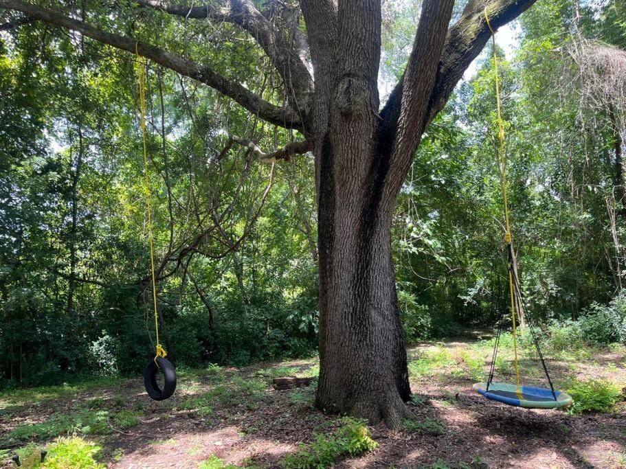 Photo of Outdoor in Tallahassee