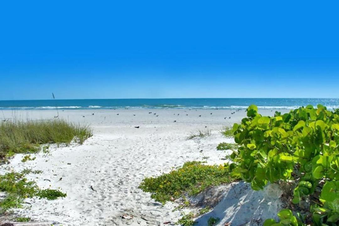 Photo of Others in Redington Shores