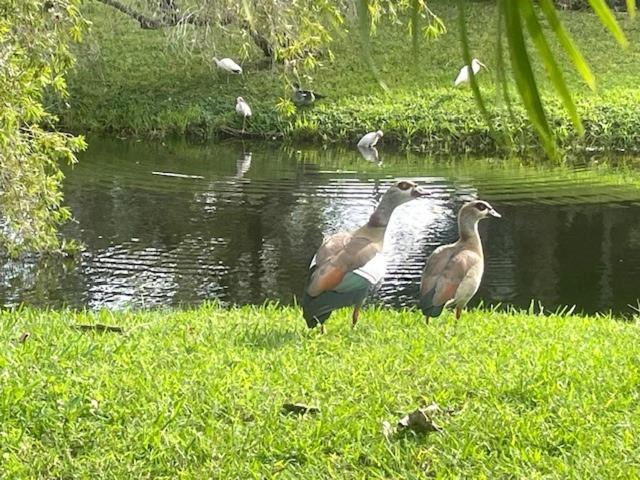 Photo of Others in Jupiter
