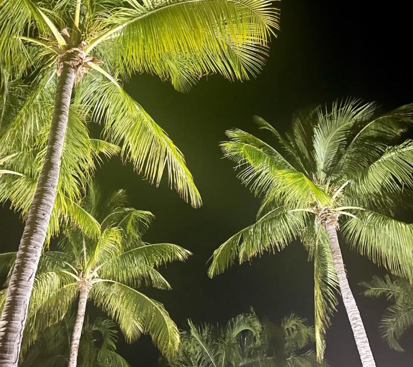 Photo of Others in Islamorada