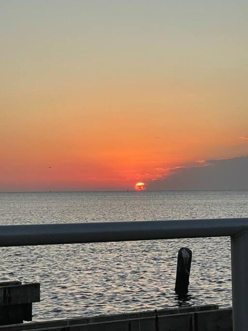 Photo of Others in Cedar Key