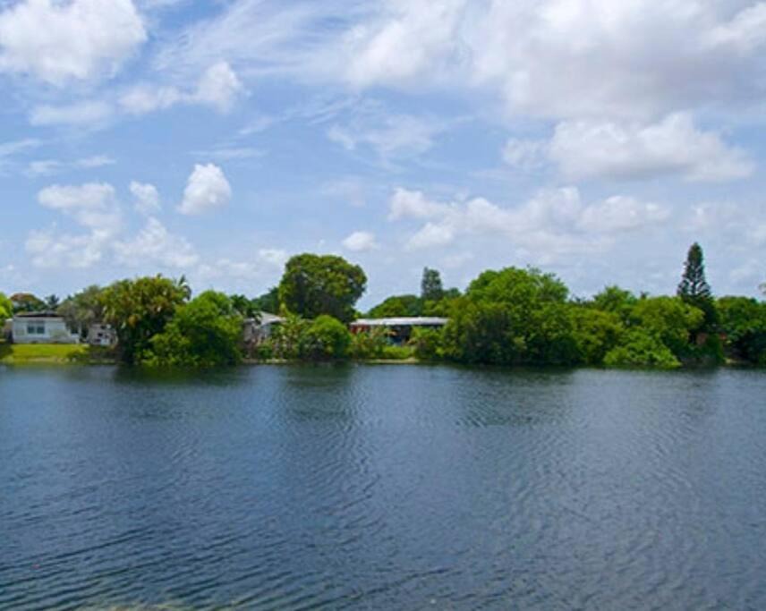 Photo of Others in Tamiami