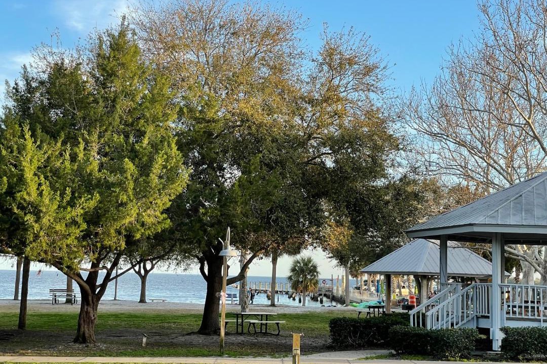 Photo of Buildings in Cedar Key