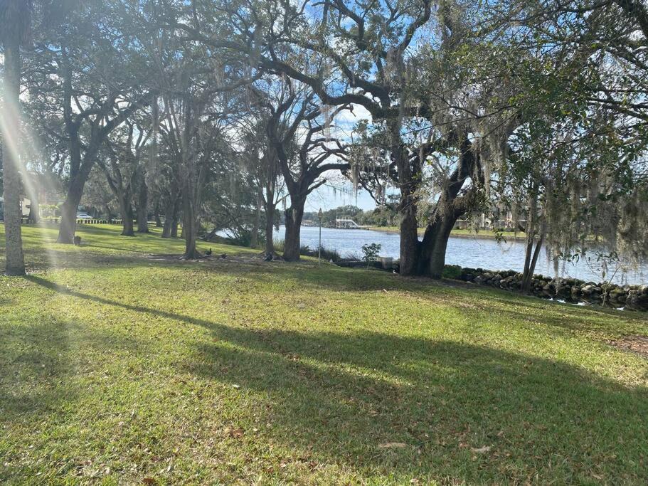 Photo of Others in South Seminole Heights
