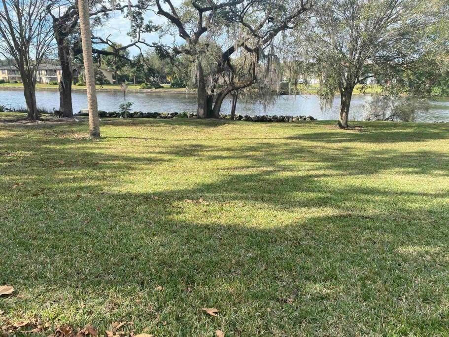 Photo of Others in South Seminole Heights