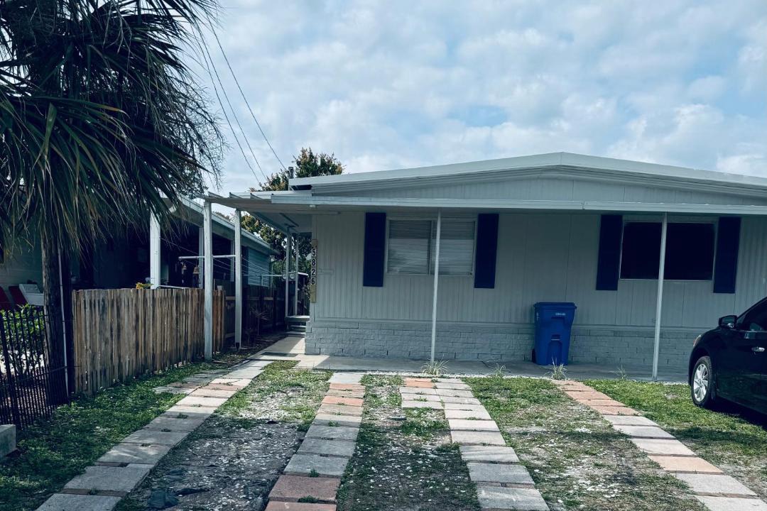 Photo of Others in Tampa