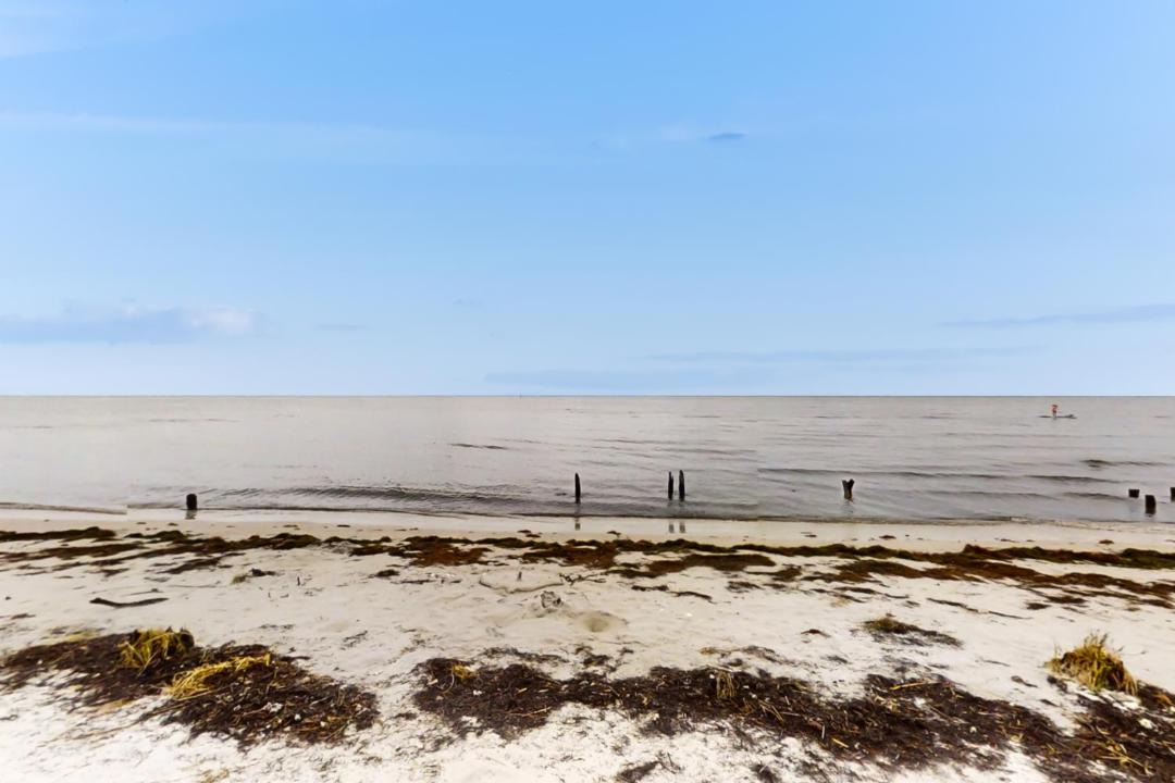 Photo of Others in Carrabelle