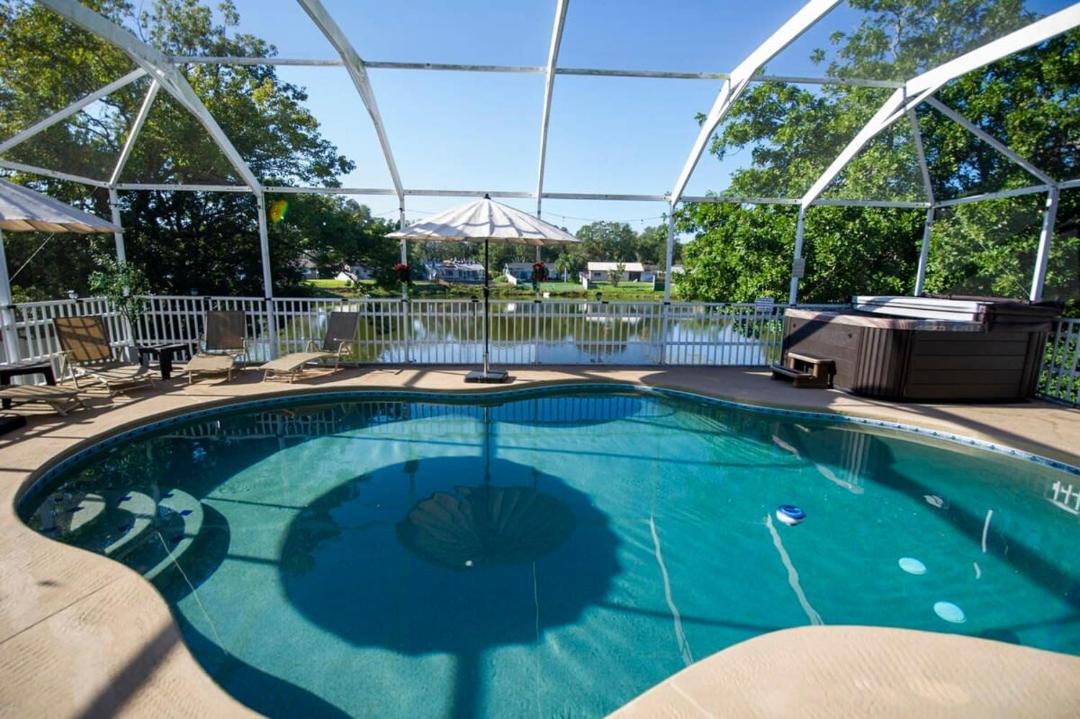 Photo of Outdoor in Palm Harbor